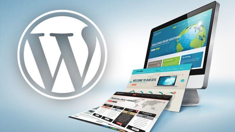  Cms اختصاصی