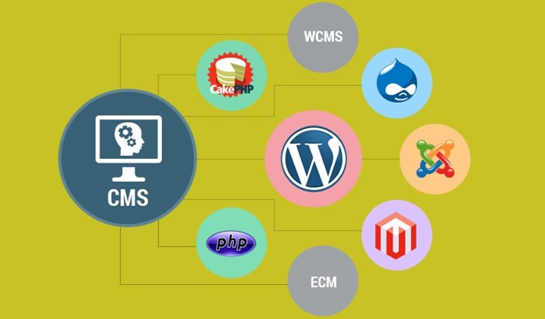  سیستم مدیریت محتوا cms اختصاصی